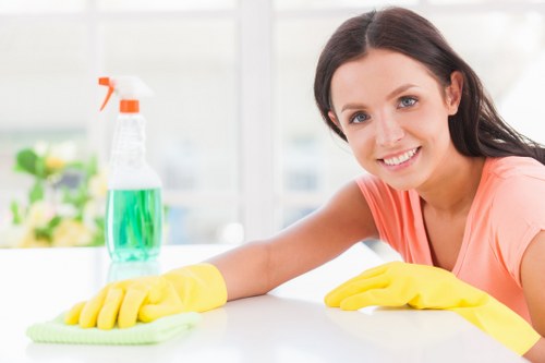 Professional domestic cleaning in a bright living room