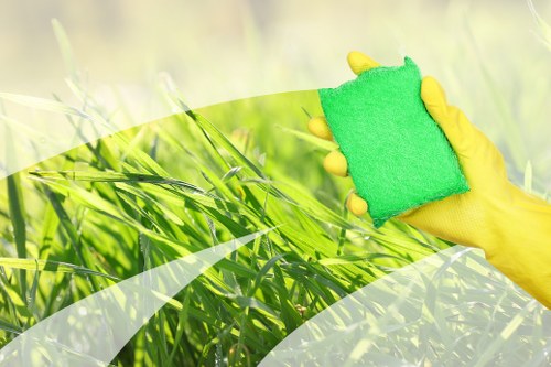 Professional upholstery cleaning for a living room sofa