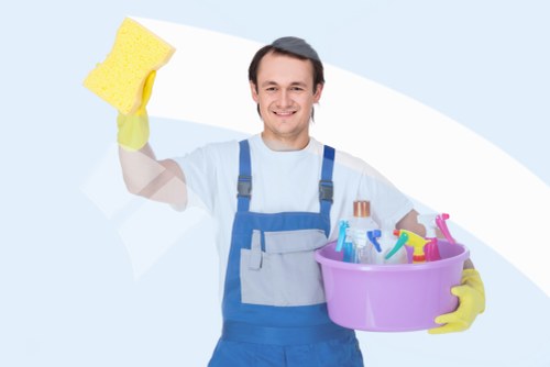 Eco-friendly carpet cleaning service for modern homes