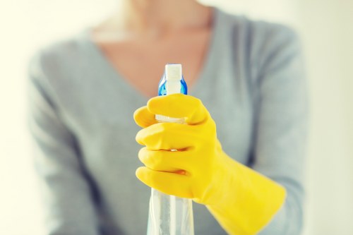 Cleaning team polishing kitchen surfaces and appliances