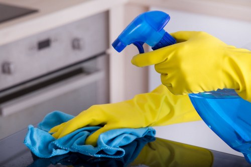 Cleaner sanitizing a modern kitchen as part of housecleaningservices