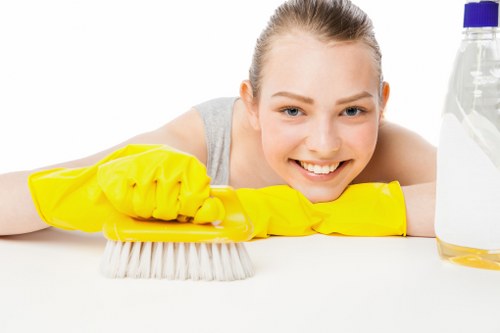 Safe and professional housecleaning with protective equipment and tidy workspace