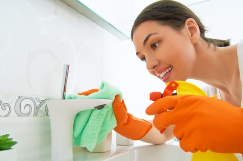 Eco-friendly cleaning products used by a housecleaning company