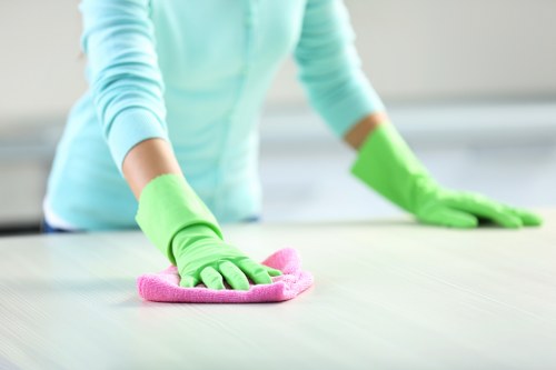 Deep upholstery cleaning on a family sofa