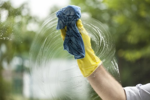 Home cleaning service keeping a family house organized