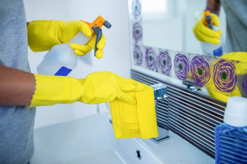 Cleaning supplies and tools used for house window washing