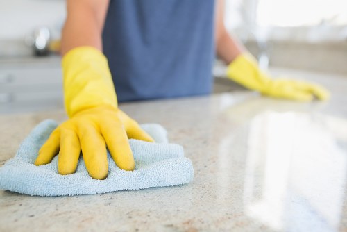 Professional cleaner working in a home interior