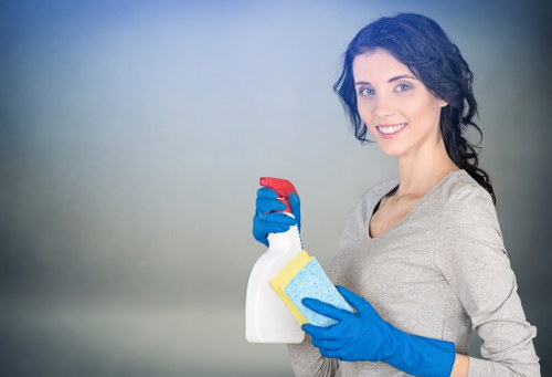 SSL-encrypted Housecleaningservices payments information section
